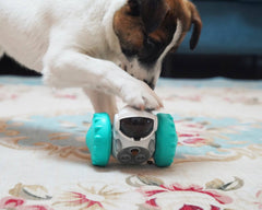 Interactive Tumbler Toy for Dogs - Free Shipping