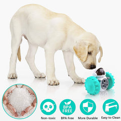 Interactive Tumbler Toy for Dogs - Free Shipping