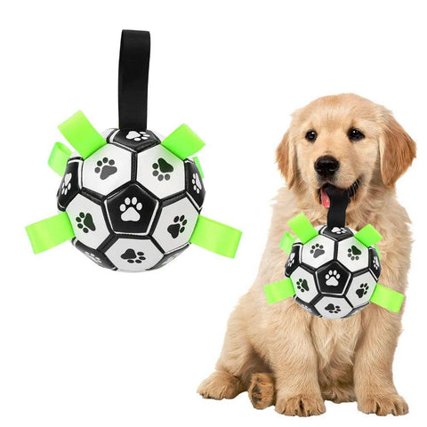 Doggy Soccer Ball