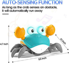 Crawling Crab Toy - Free Shipping