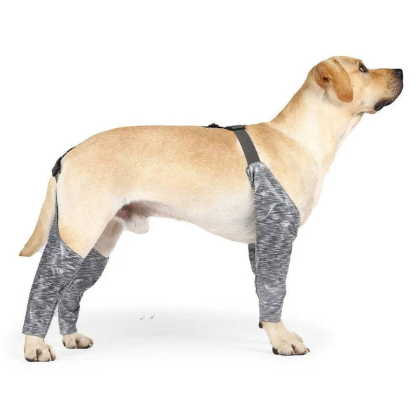 Dog Pants To Prevent Licking For Breeds - Free Shipping