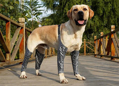 Dog Pants To Prevent Licking For Breeds - Free Shipping